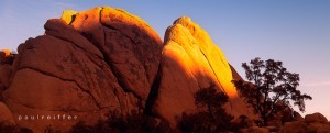 Joshua Tree National Park - Paul Reiffer - Landscape photography