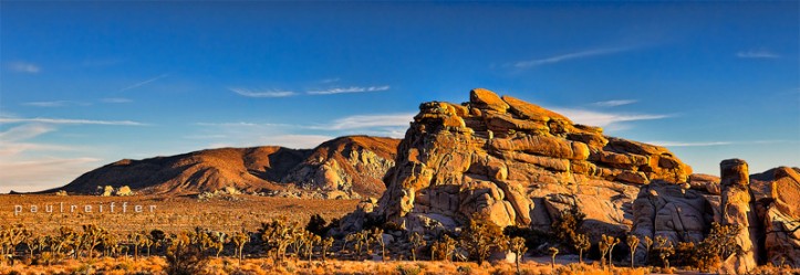 Joshua Tree National Park - Paul Reiffer - Landscape photography