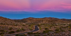 Joshua Tree National Park - Paul Reiffer - Landscape photography