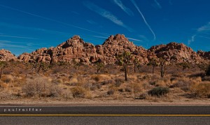 Joshua Tree National Park - Paul Reiffer - Landscape photography