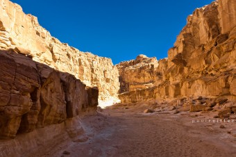 Coloured Canyon - Sinai, Egypt - Paul Reiffer, Professional Photographer Coloured Canyon - Sinai, Egypt - Paul Reiffer, Professional Photographer