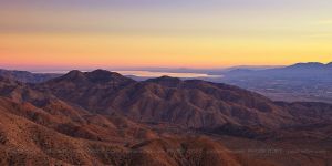 TheSaltonSea_ecom.jpg